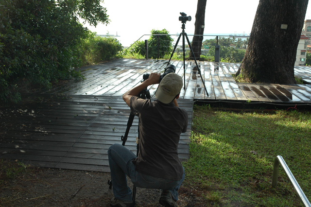 a photographer in pine garden